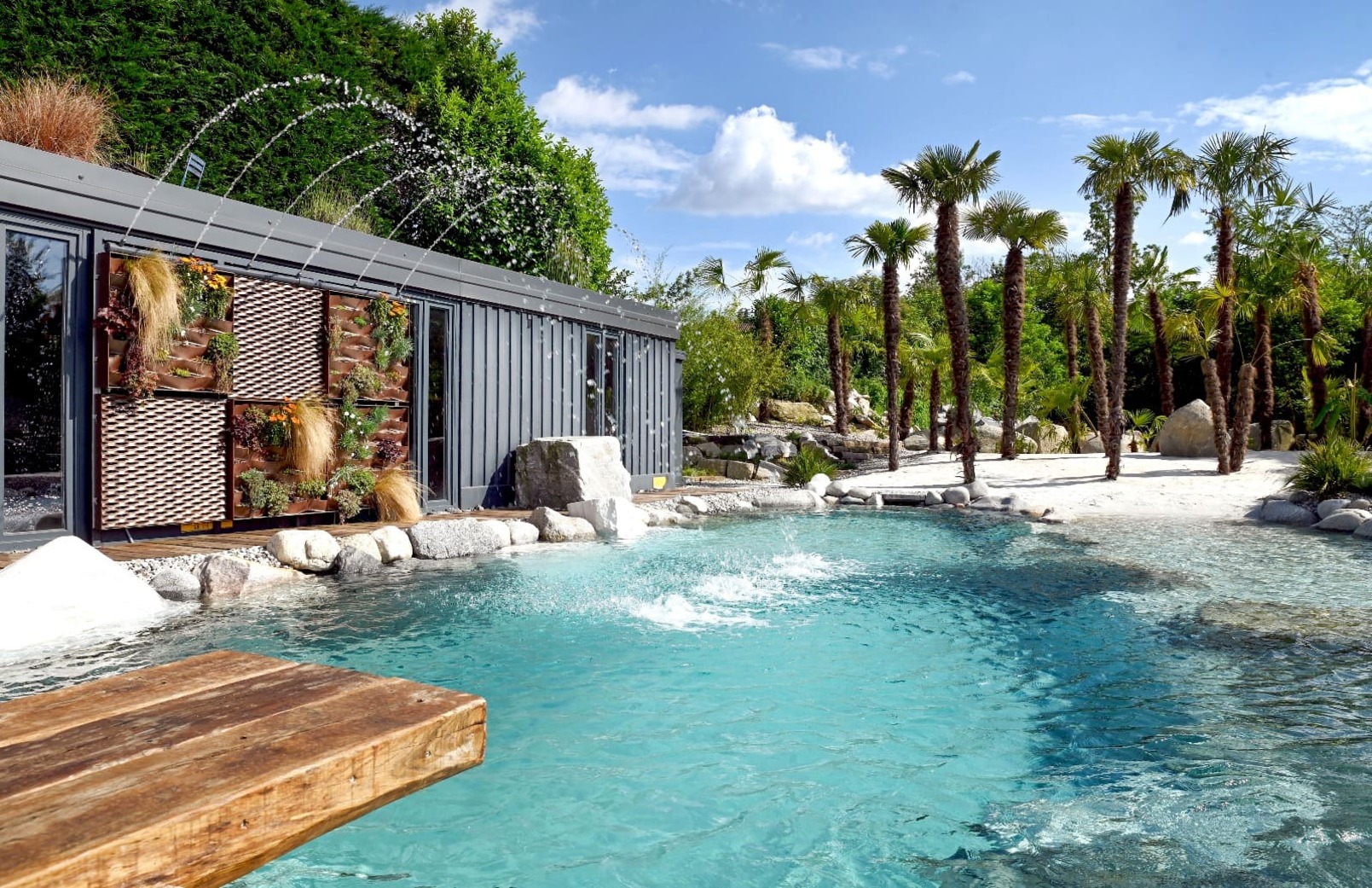 Dettaglio piscina naturale immersa nel verde